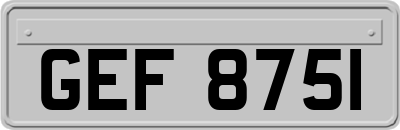 GEF8751