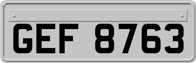 GEF8763
