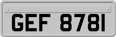 GEF8781