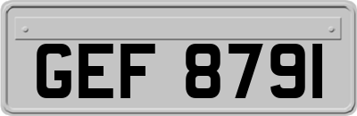 GEF8791