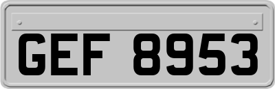 GEF8953