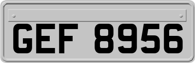 GEF8956