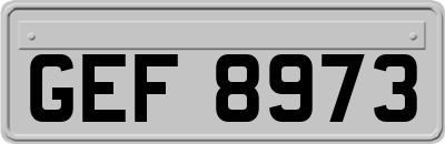 GEF8973