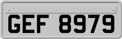 GEF8979