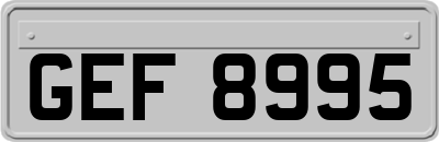 GEF8995