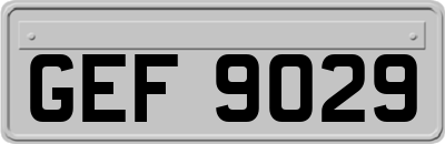 GEF9029