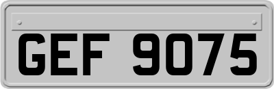 GEF9075