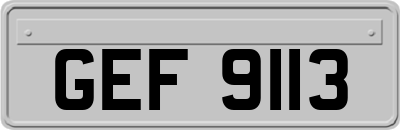 GEF9113