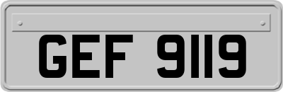 GEF9119