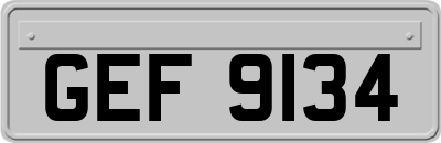 GEF9134