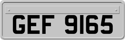 GEF9165