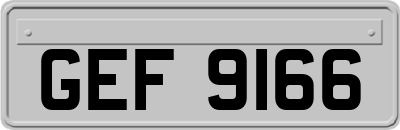 GEF9166