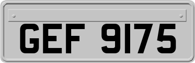 GEF9175