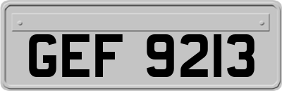 GEF9213