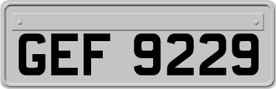 GEF9229