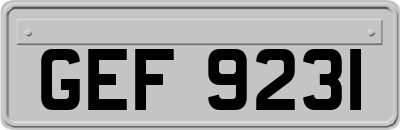 GEF9231