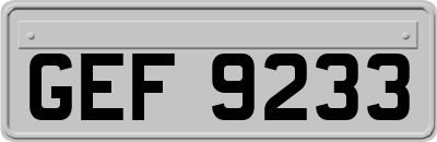 GEF9233