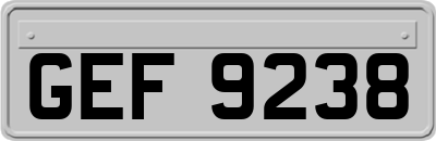 GEF9238
