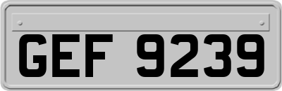 GEF9239