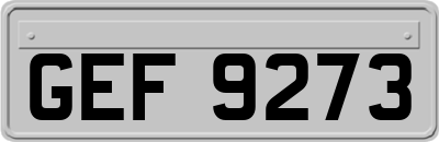 GEF9273