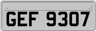 GEF9307