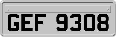 GEF9308