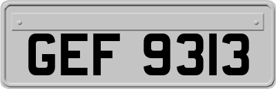 GEF9313