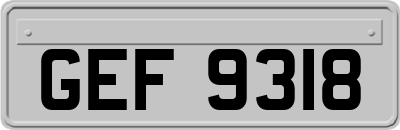 GEF9318
