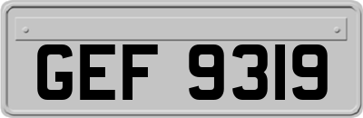 GEF9319