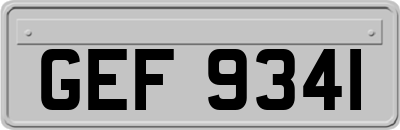 GEF9341