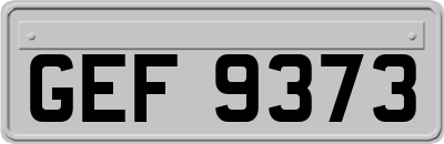 GEF9373