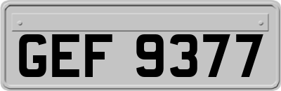 GEF9377