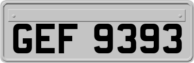 GEF9393