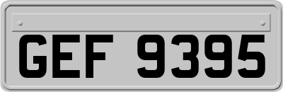 GEF9395