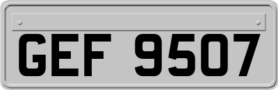 GEF9507