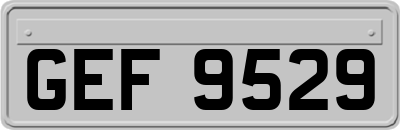 GEF9529