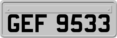 GEF9533