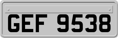 GEF9538
