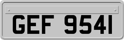 GEF9541