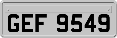 GEF9549