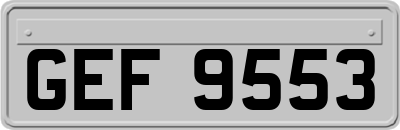 GEF9553