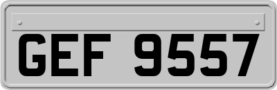 GEF9557