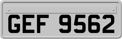 GEF9562