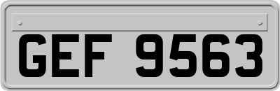 GEF9563