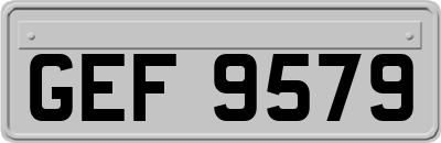 GEF9579
