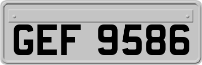 GEF9586