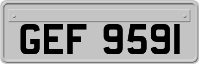 GEF9591