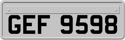 GEF9598