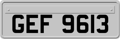 GEF9613