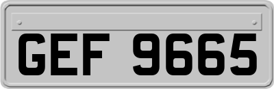 GEF9665